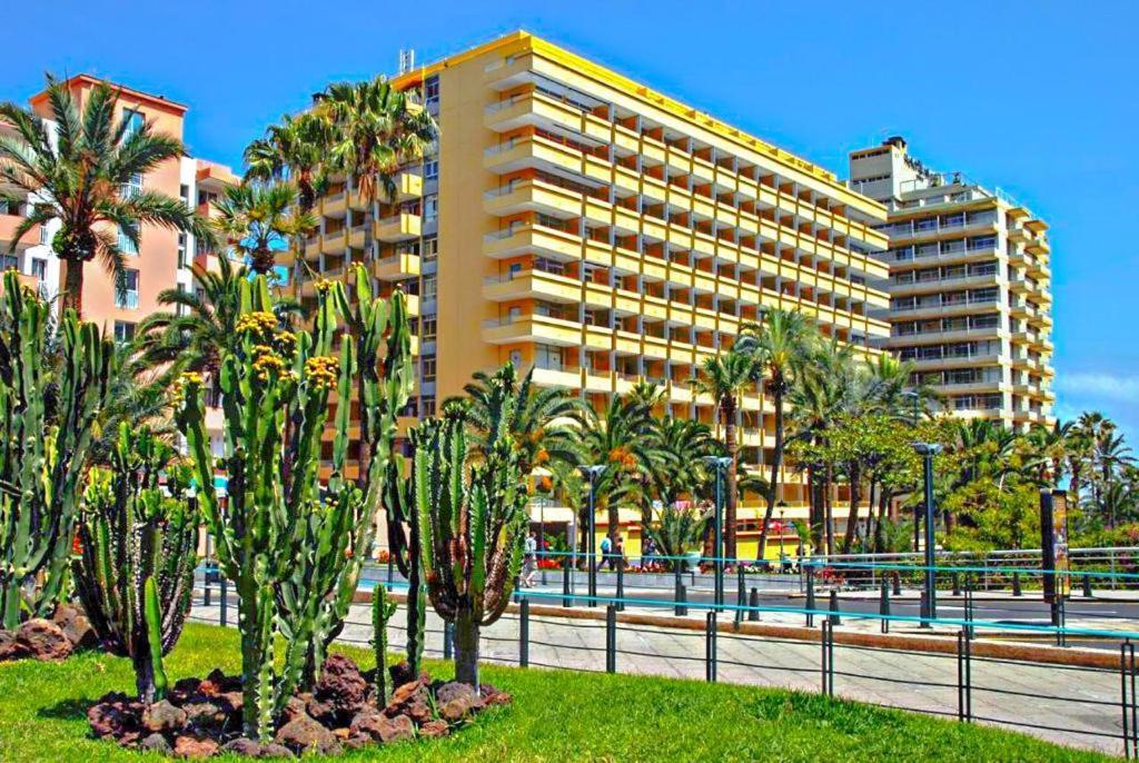 Acogedor Estudio En Martianez Puerto de la Cruz  Ngoại thất bức ảnh